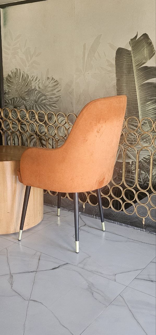 Elegant Velvet Accent Chair