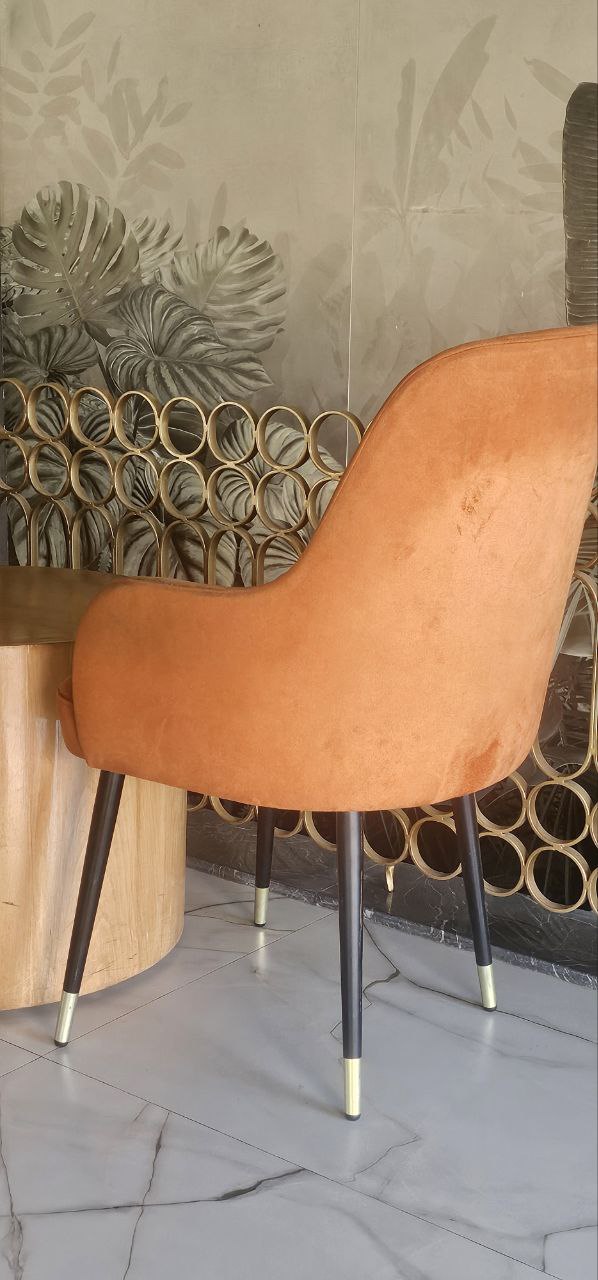 Elegant Velvet Accent Chair